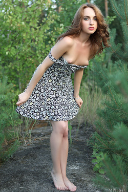 Suggestive Nature